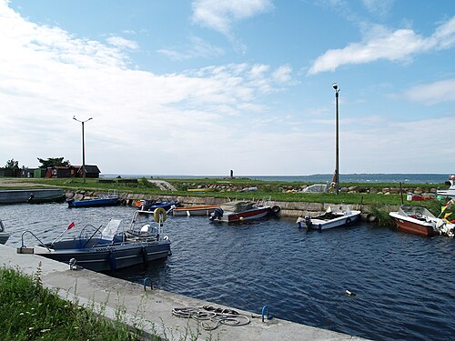 Kurkse port