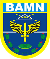 Manaus Air Force Base (PLL)
