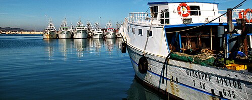 port of Civitanova Marche