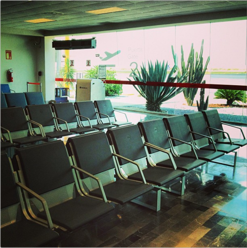 General Lucio Blanco International Airport (REX)