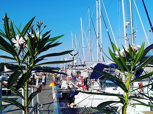 Porto delle Grazie