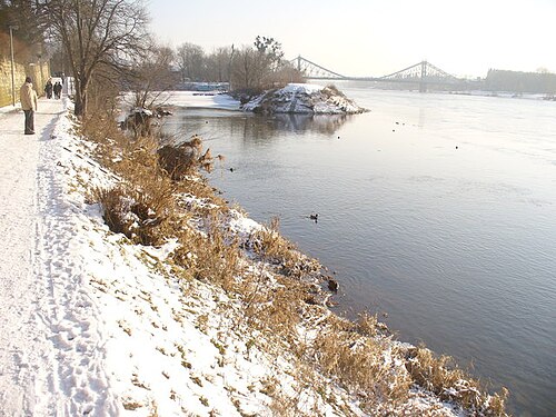 Loschwitzer Hafen