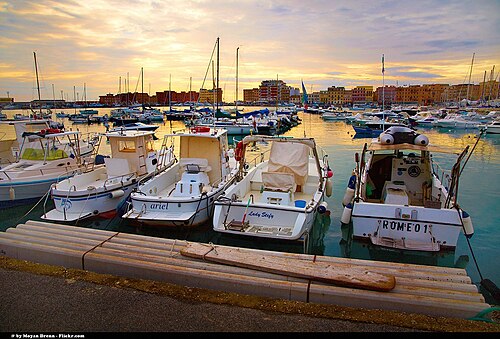 Port of Anzio